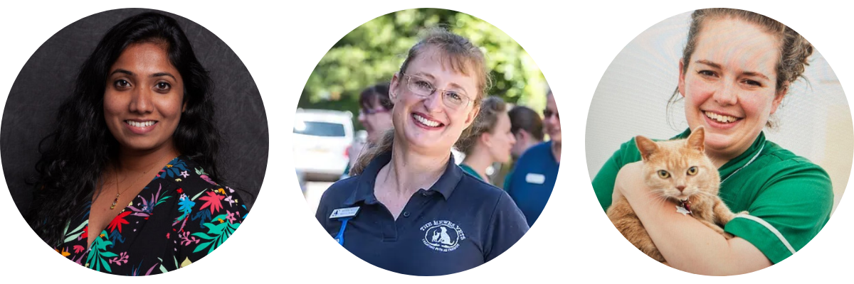September CMA order for veterinary practices - Vetstoria live event speakers